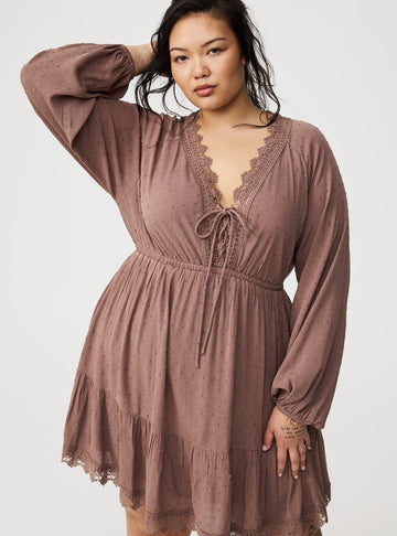 Brown Lace - Trimmed Mini Dress