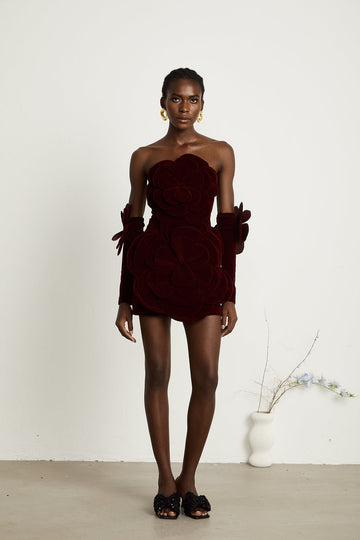 Burgundy Velvet Floral Mini Dress