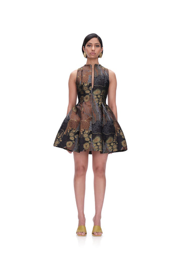 Printed Flare Mini Dress