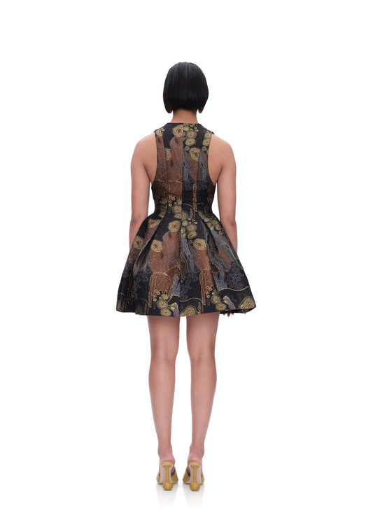 Printed Flare Mini Dress